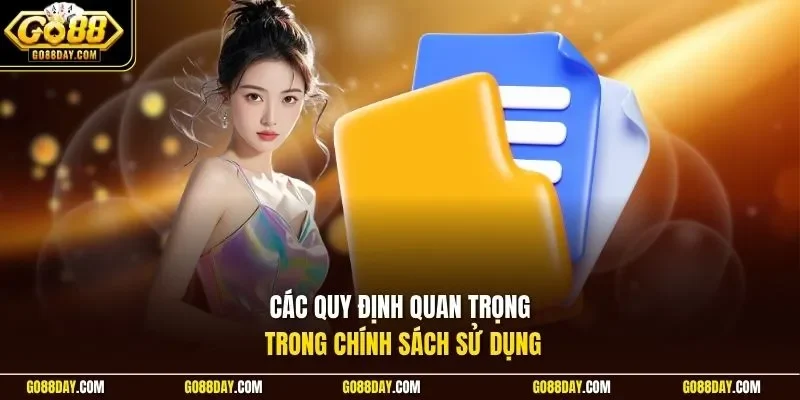Các quy định quan trọng trong chính sách sử dụng